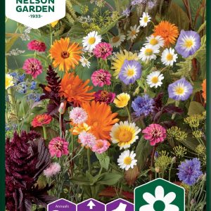 Honningblomster, mix - Mix, Honningblomster