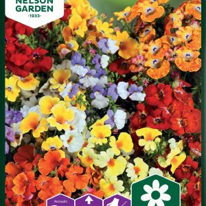 Sommerfugleblomst - Sommerfugleblomst, Carnival Mix