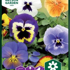 Stedmoder - Stedmoder, Florist Strain, bl. farver