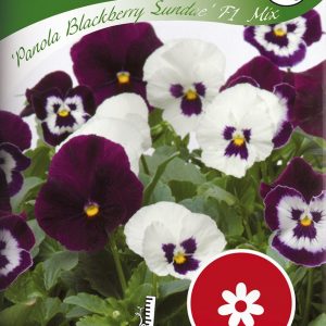 Stedmoder, Panola Blackberry Sundae Mix