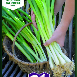 Pibeløg, Long White Ishikura - Såbånd