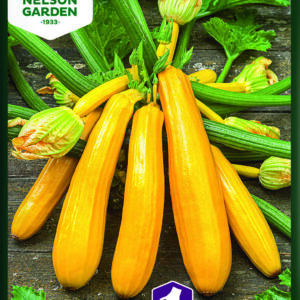 Squash, Yellowstar F1