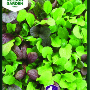 Kål, Pak Choi - Colour Crunch Blend