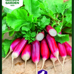 Radise, De dix-huit jours