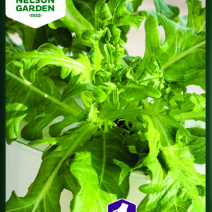 Pluksalat, Cerbiatta