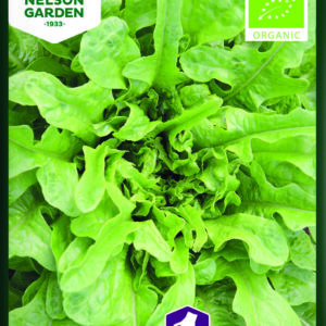 Pluksalat, Catalonga - Økologisk