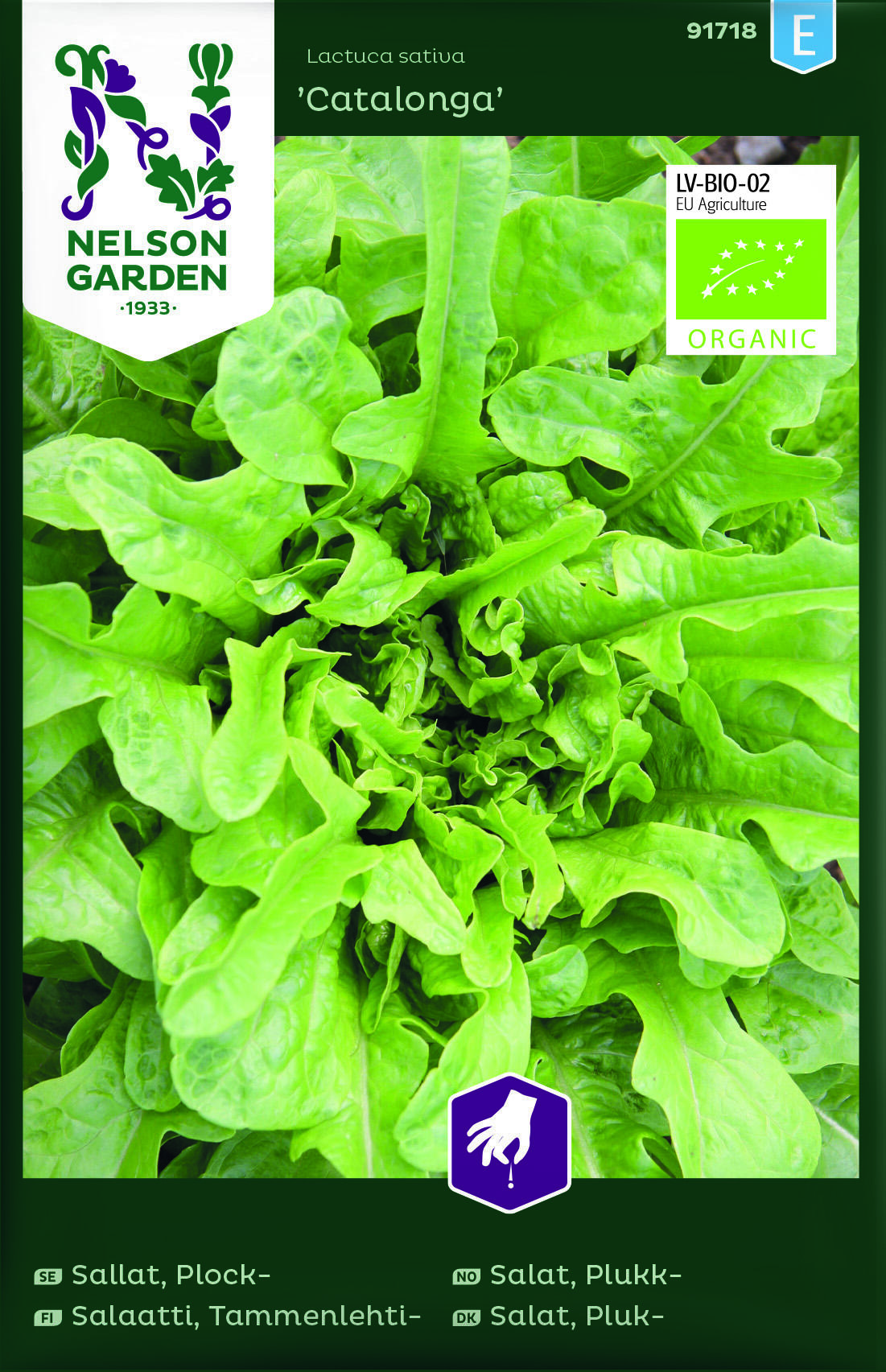 Pluksalat, Catalonga - Økologisk