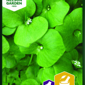 Vinterportulak - portulak