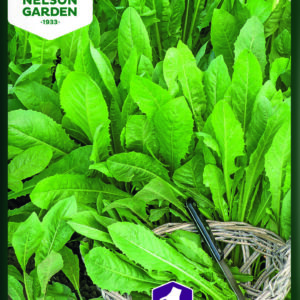 Salatcikorie, Sangria