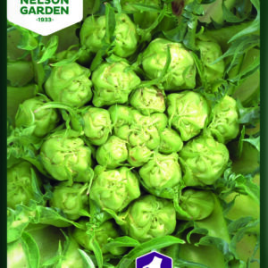 Salatcikorie, Puntarelle di Galatina - Blanding af mælkebøtte og fennikel