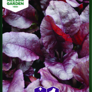 Rødbede - Bladrødbede, Bull´s Blood