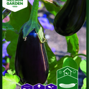 Aubergine, Agata F1