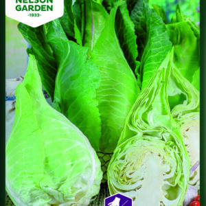 Kål, Filderkraut - Spidskål