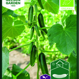 Agurk, Kaikura F1 - Miniagurk - Økologisk