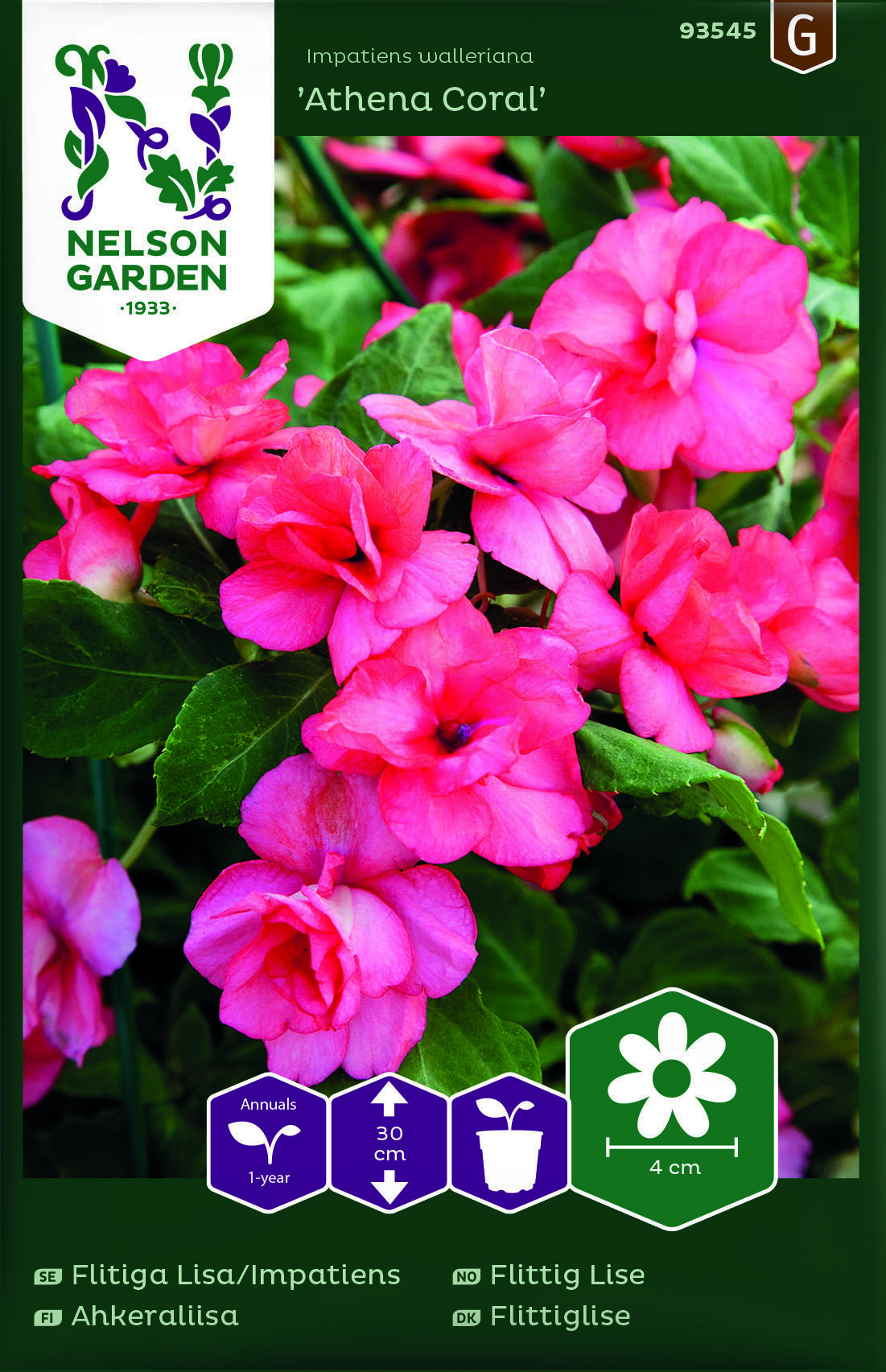 Flittiglise Athena Coral F1