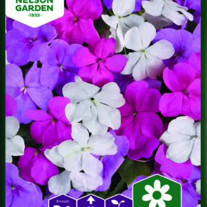 Flittiglise Beacon Chicago Mixture