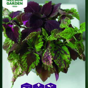 Paletblad Formula Mixture