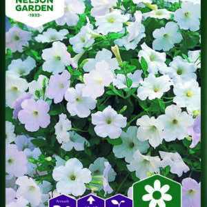 Petunia Opera Supreme White F1